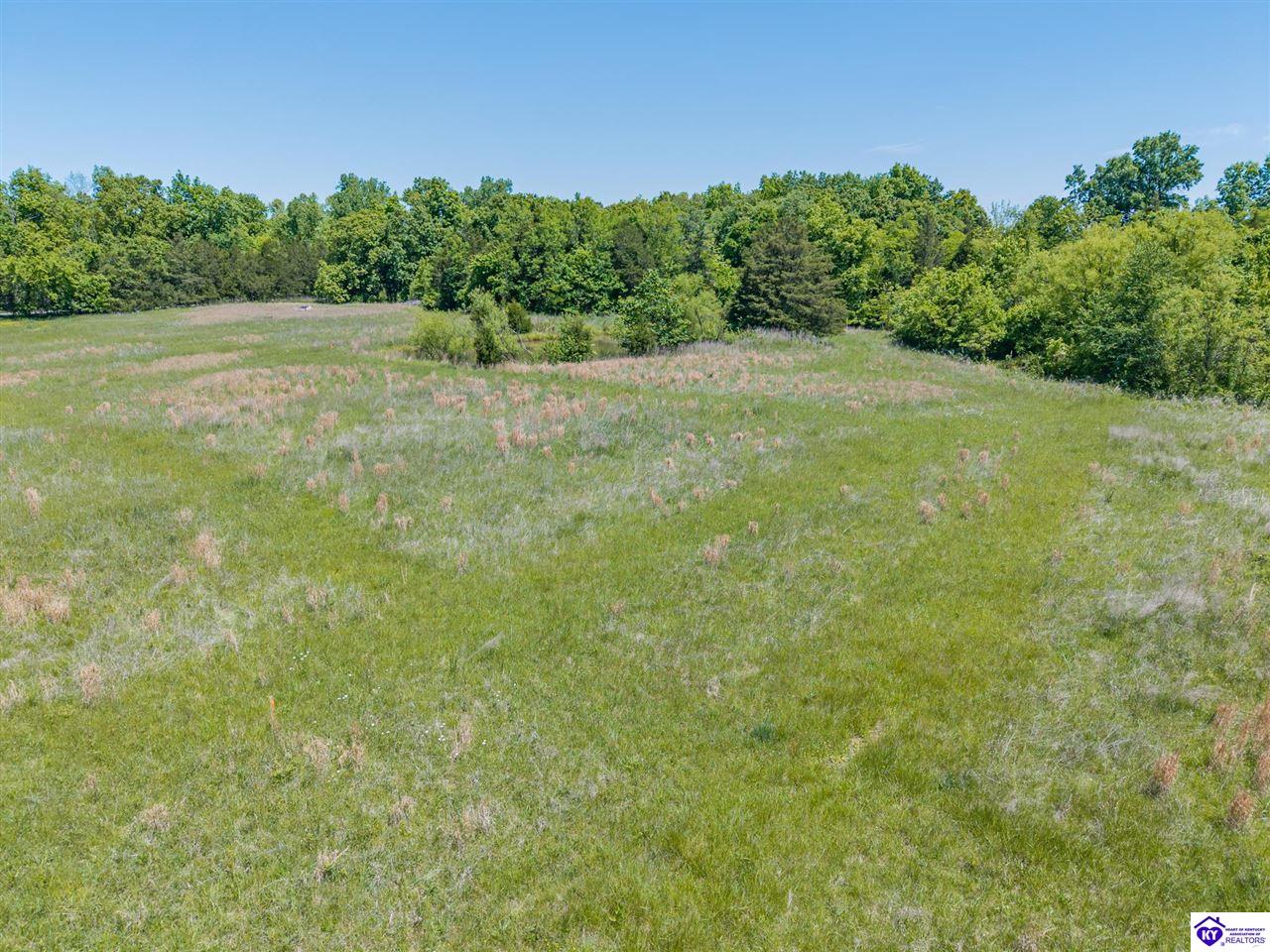 1239 Keith Knob Road photo 6